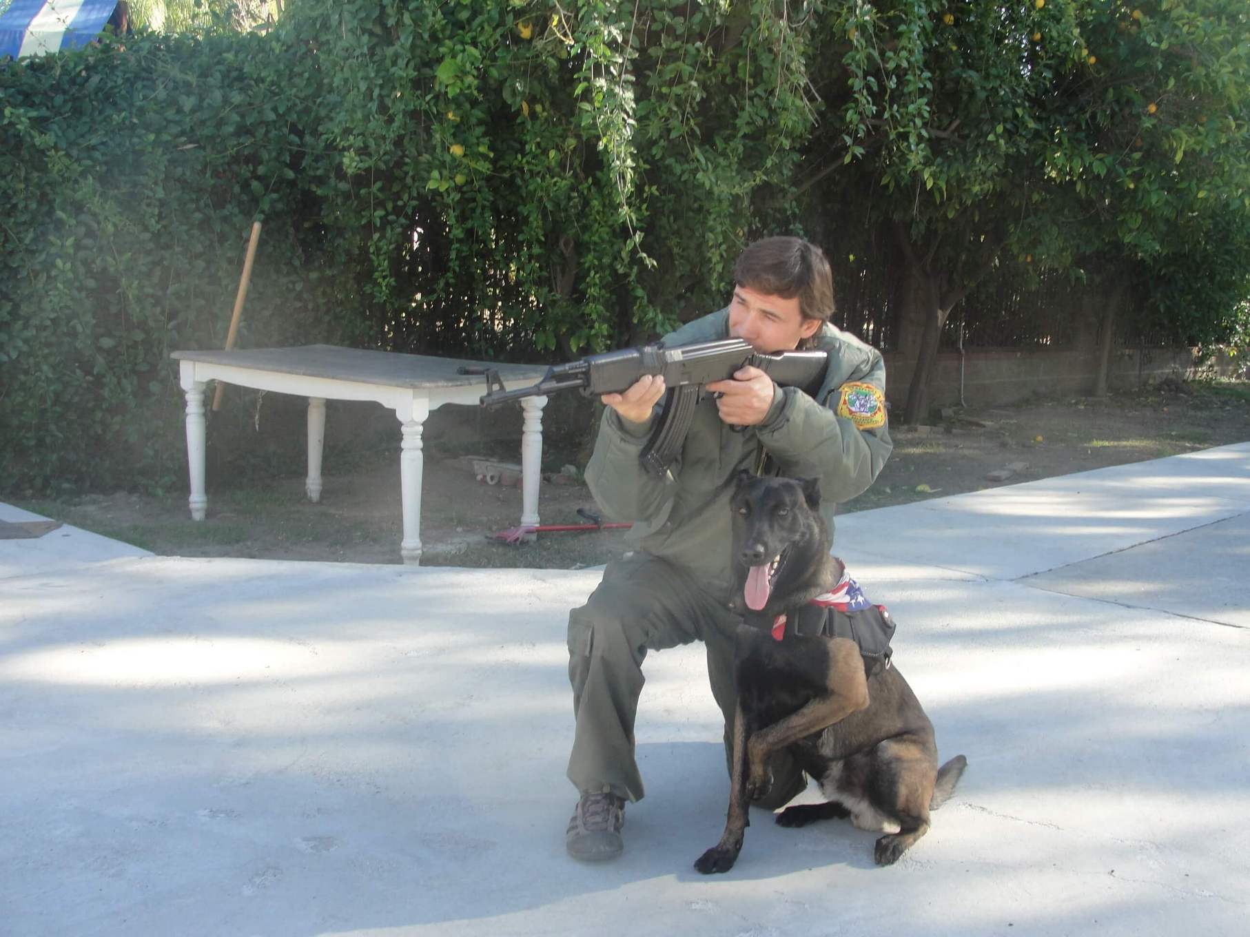 Dog Training - K9 course - Master Dog Training