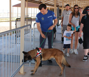 Drug Detection Dogs