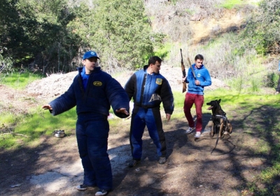 K9 Training in our centers