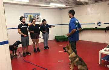 The school for the training of the dog trainers