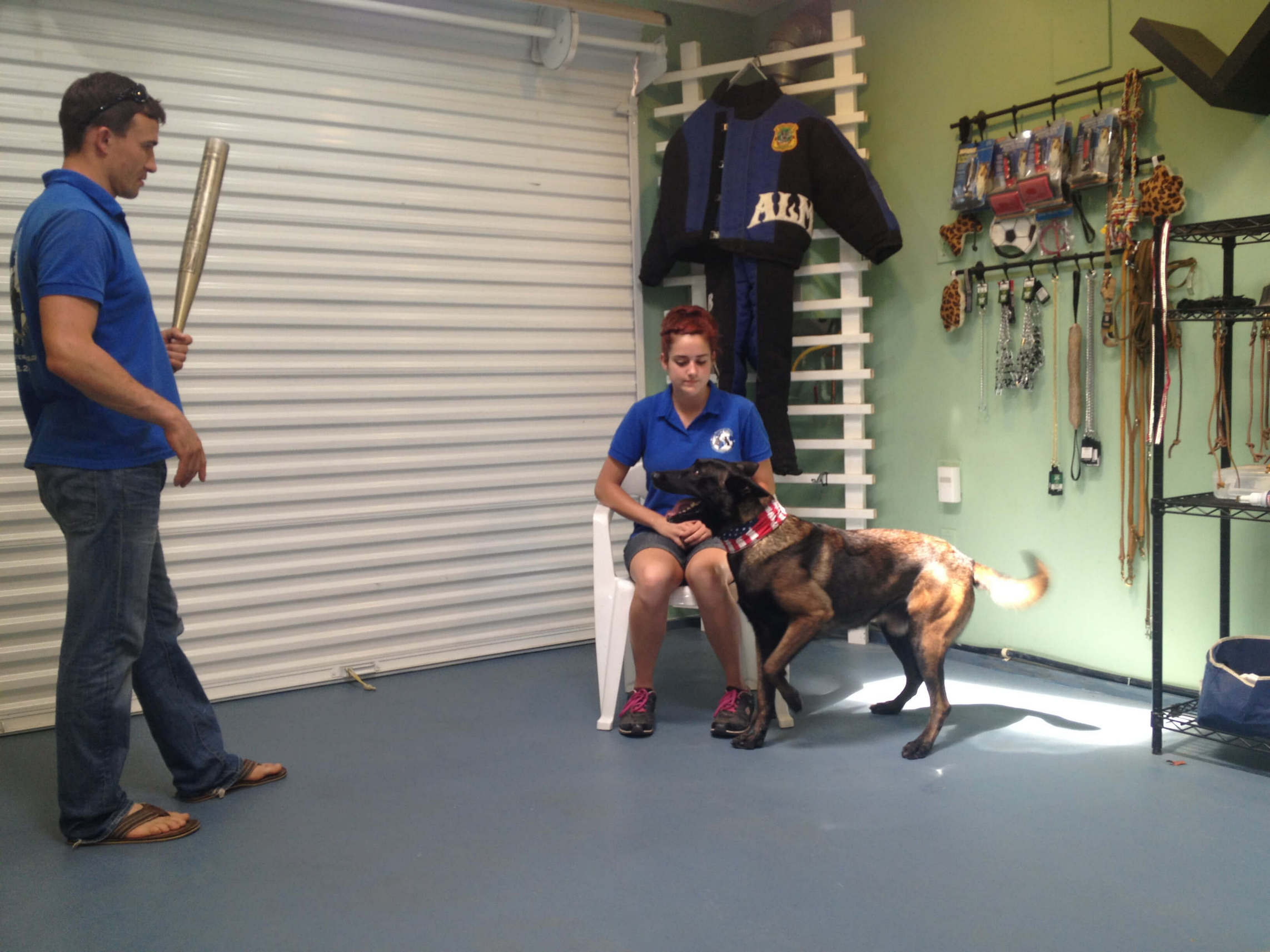 Protection Dog Training Protection Dog Training