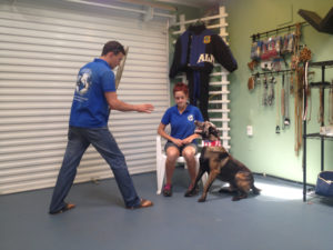 Protection Dog Training offers a variety of benefits for dogs