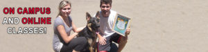 Become a Dog Training - On Campus and Online Courses