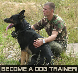 Dog Trainer Course
