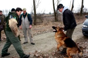 Protection Dog Training