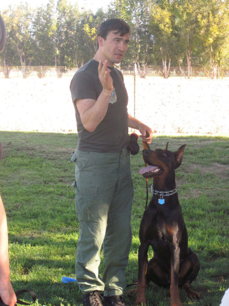 Dog Trainer Courses