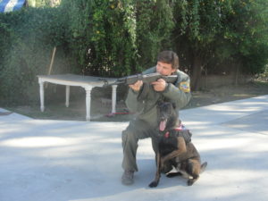 Dog Training - K9 course