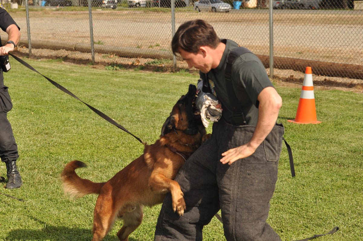 k9 police academy