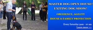 Dog Training Show - Open House at Master Dog Training