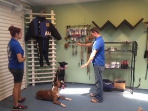 After completing the Obedience Dog Training Course, you should be able to use both voice and gesture commands to control your dog.