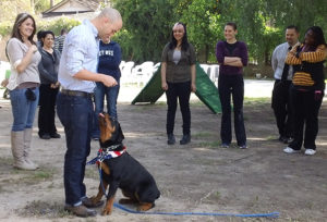 Dog Training Workshop