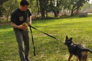 Training aggressive dog at the dogpark