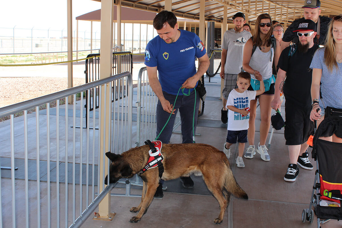 Drug detection dogs - Places of Work