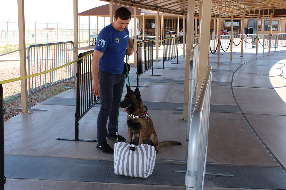 Drug detection dogs - Education and School Services