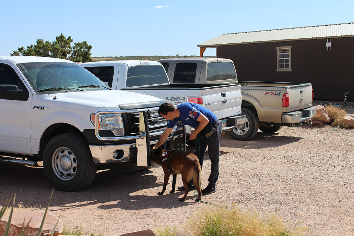 Drug detection dogs - Private Homes