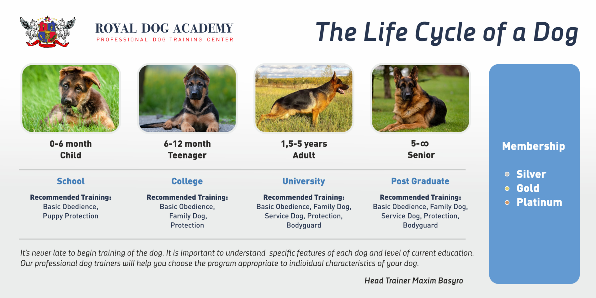 puppy training program